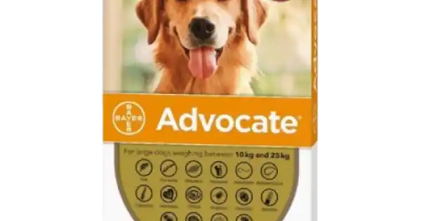 Advocate Caine 10-25 kg, 3 pipete Premium